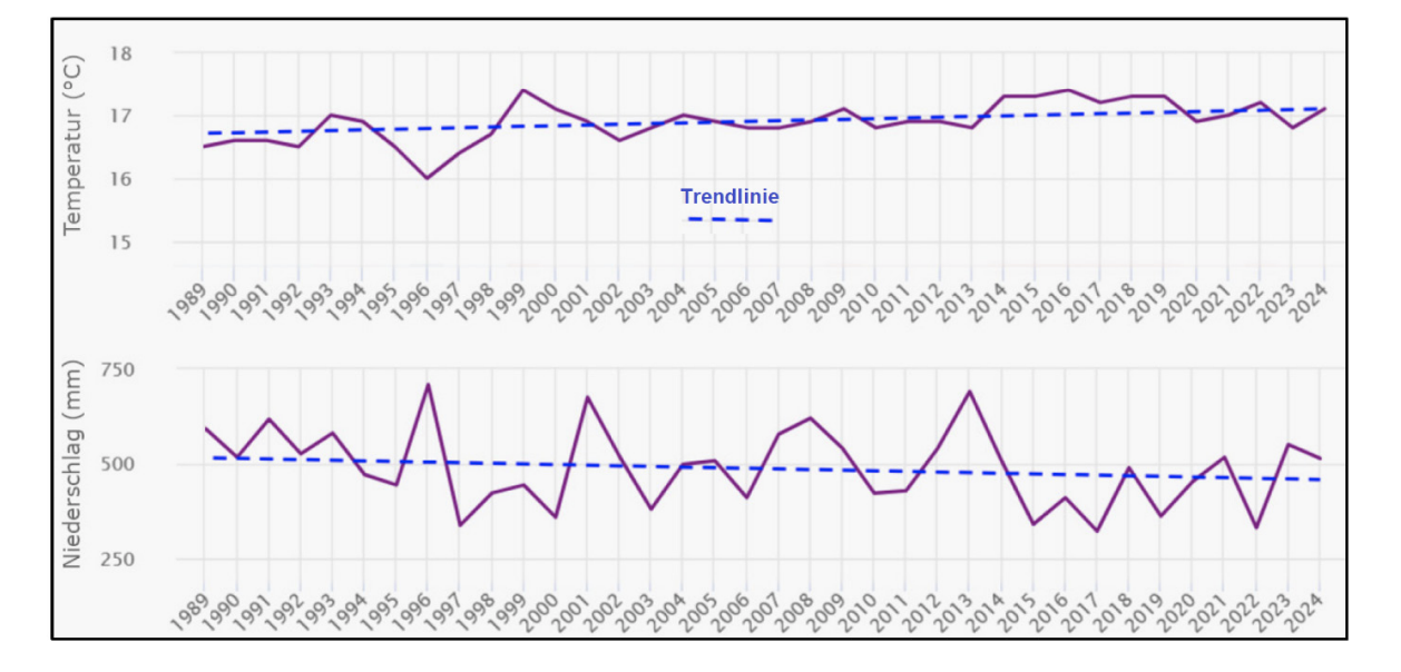 Diagramm mit Temperatur- und Niederschlagsentwicklung von 1989 bis 2024 sowie Trendlinien.